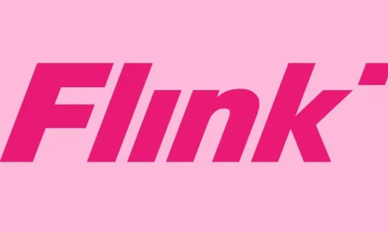 Logo Flink